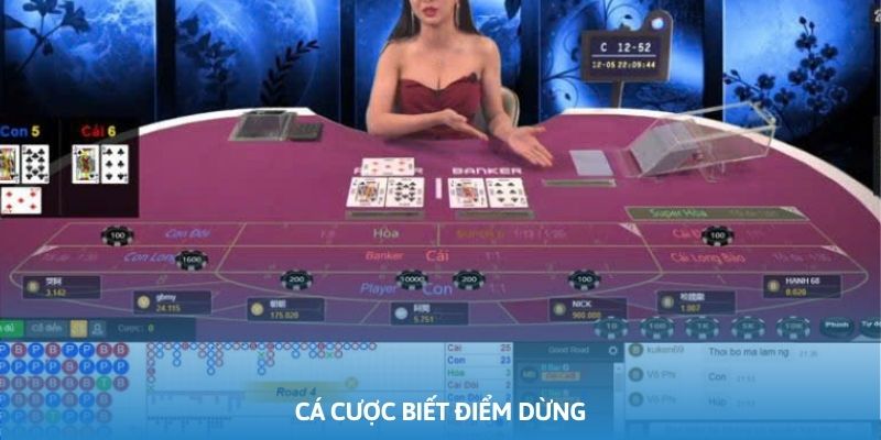 Anh em phải biết thời điểm ngừng lại thích hợp khi cá cược tại game Baccarat 123B