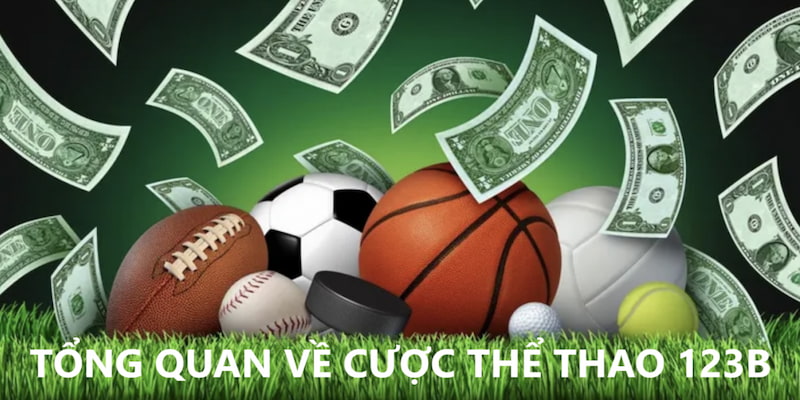 Tổng quan về cá cược thể thao tại 123B