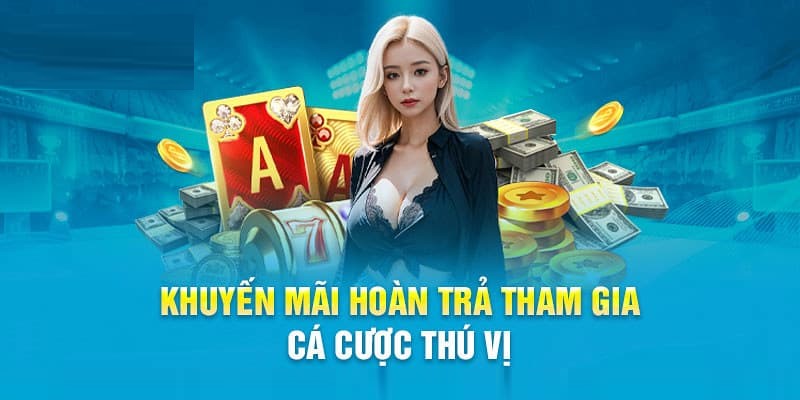 Bạn sẽ được trải nghiệm nhiều ưu đãi hấp dẫn tại nền tảng cá cược 123B
