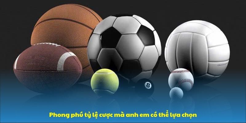 Hướng dẫn đặt cược thể thao tại 123B phong phú tỷ lệ cược mà anh em có thể lựa chọn