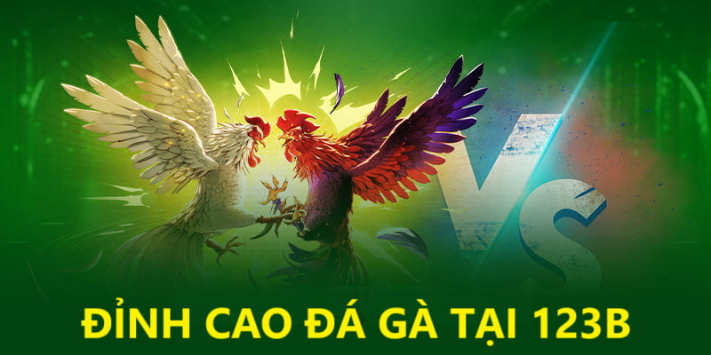 Bí quyết trải nghiệm chọi gà hấp dẫn hơn bao giờ hết