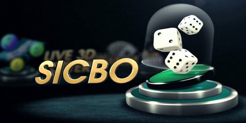 Sicbo là trò chơi đỏ đen luôn thu hút đông đảo hội viên