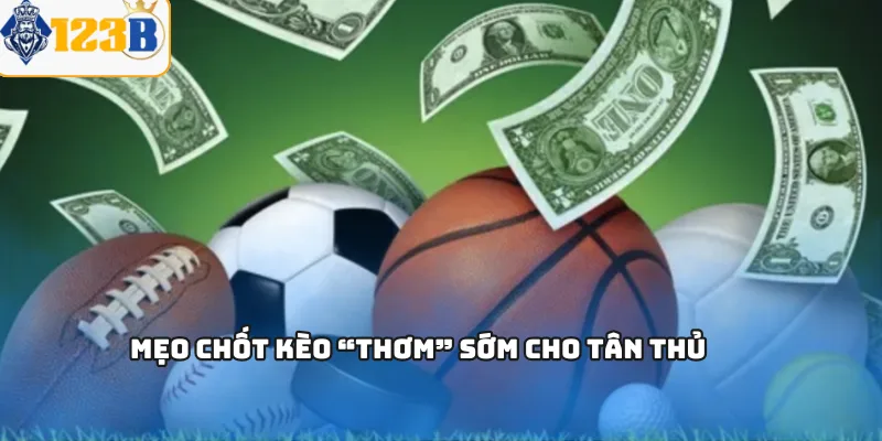 Mẹo chốt kèo “thơm” sớm cho tân thủ